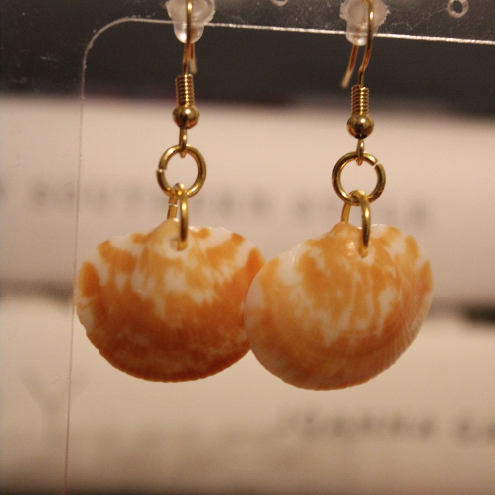 Bittersweet clam shell earrings 🌊